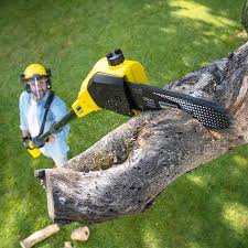 Best Arborist Consultation Services  in Oklahoma, PA